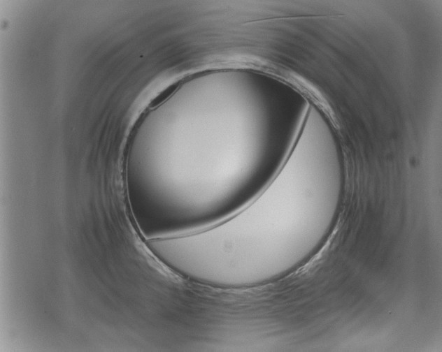X0000074951192200609010912