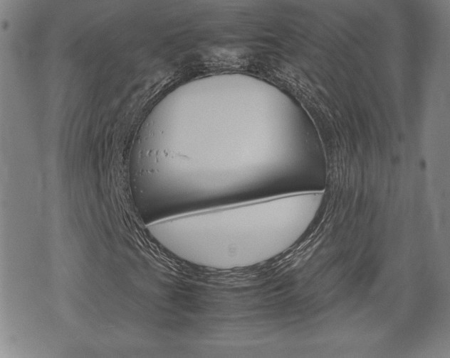 X0000074951201200609010911