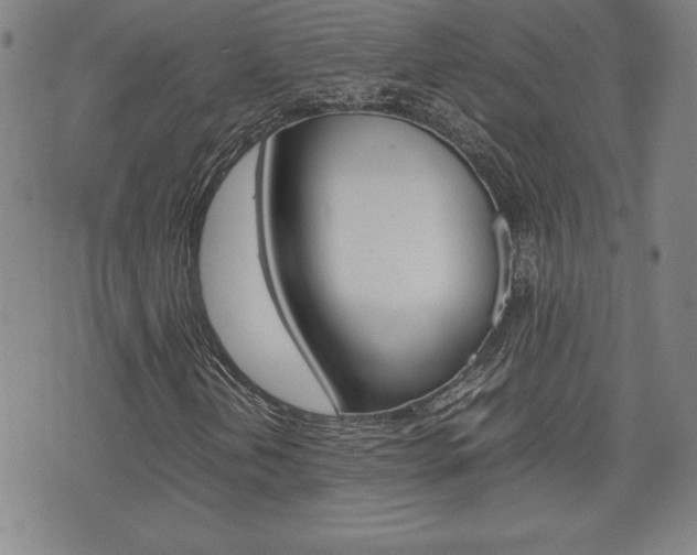X0000074951202200609010911