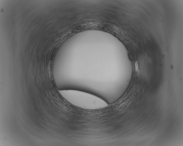 X0000074951203200609010911