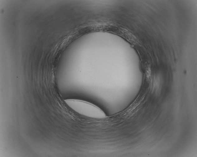 X0000074951204200609010911