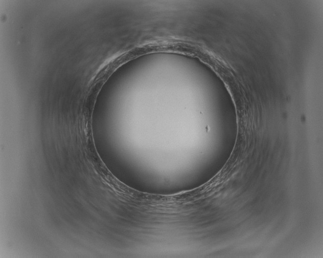 X0000074951206200609010911