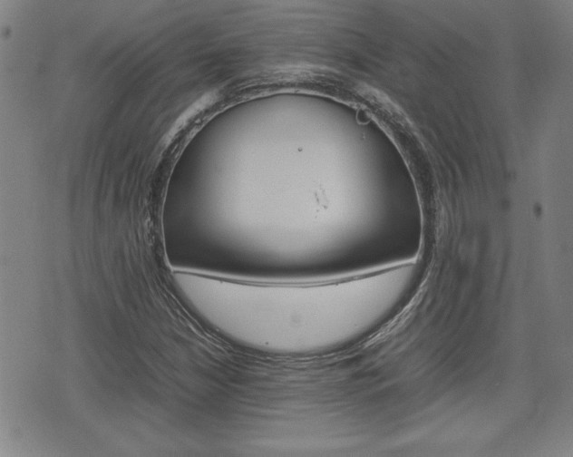 X0000074951210200609010911