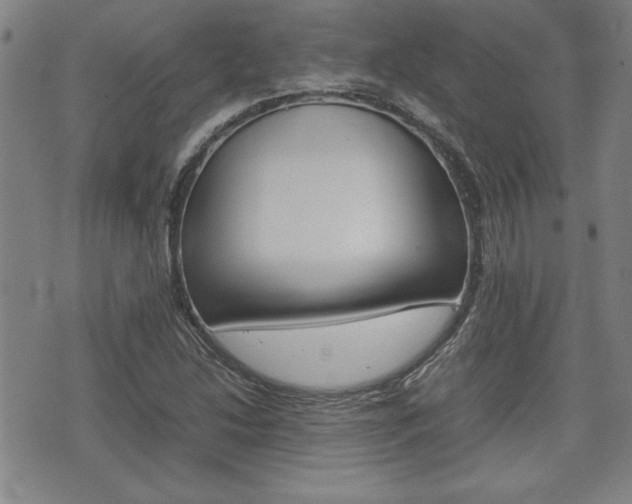 X0000074951214200609010912