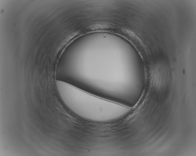 X0000074951217200609010912