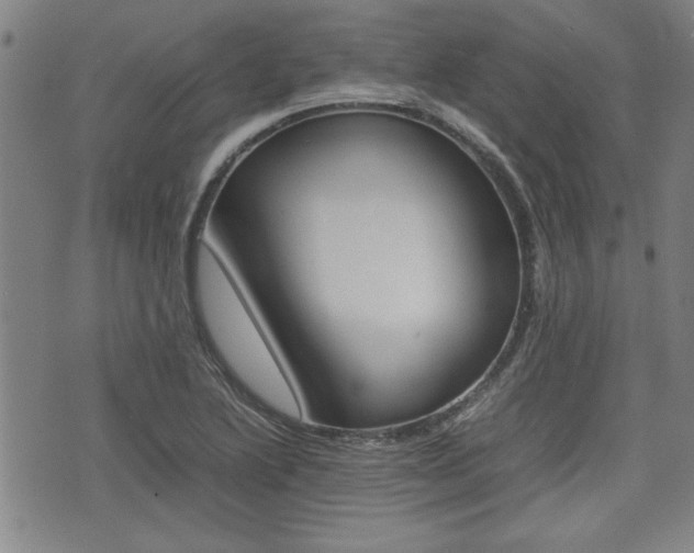 X0000074951222200609010912