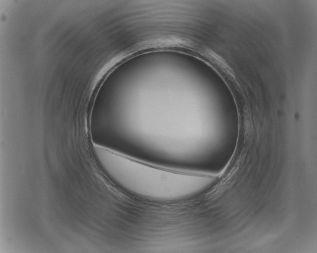 X0000074951226200609010912