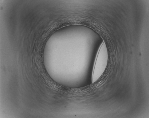 X0000074951249200609010911