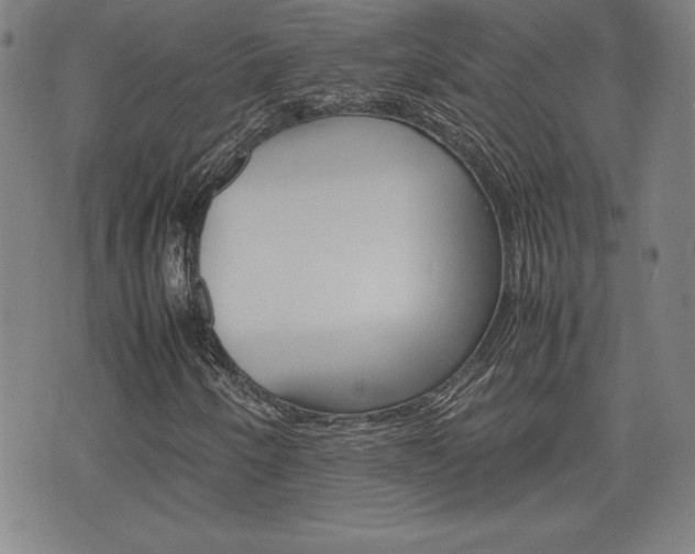 X0000074951250200609010911