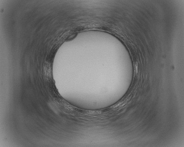 X0000074951251200609010911