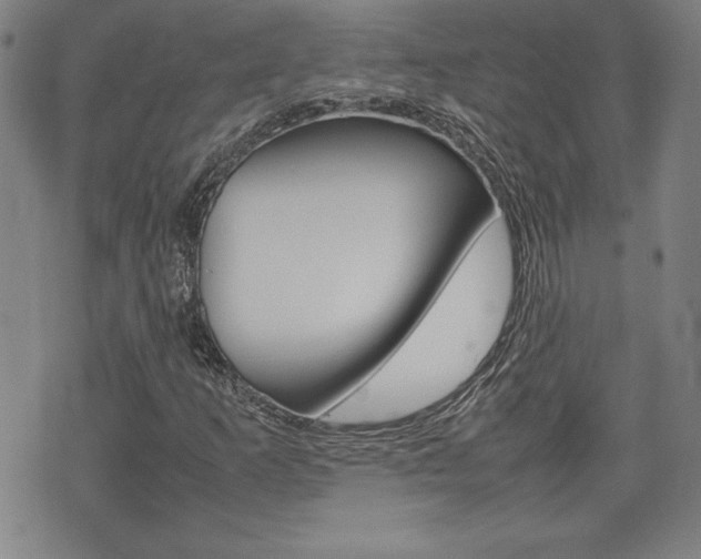 X0000074951253200609010911