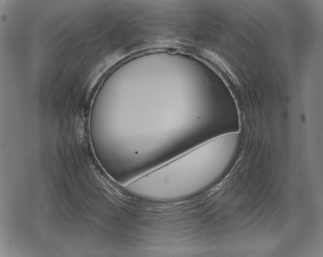 X0000074951260200609010911