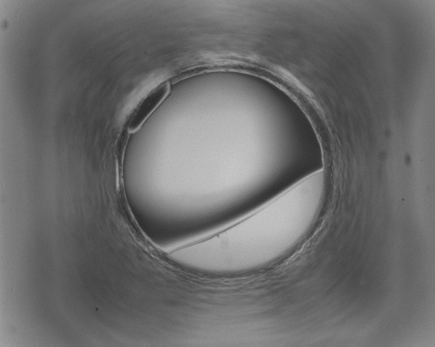 X0000074951269200609010911