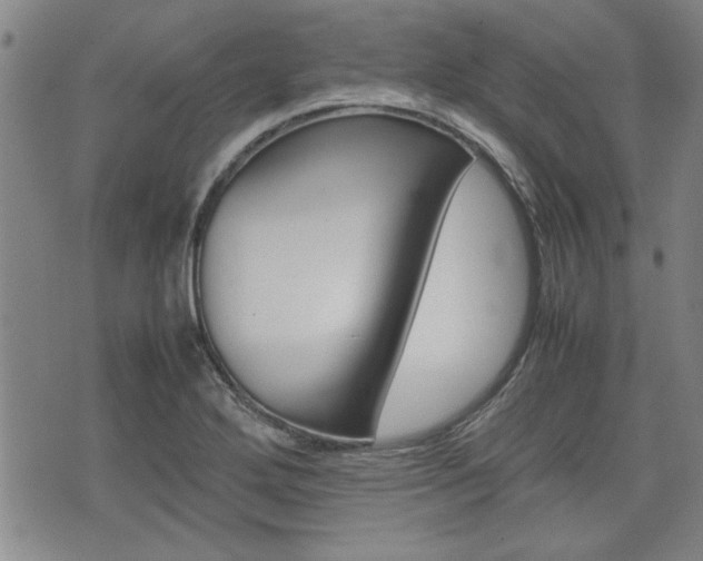 X0000074951272200609010911