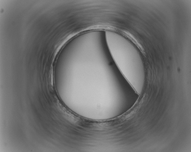 X0000074951276200609010911
