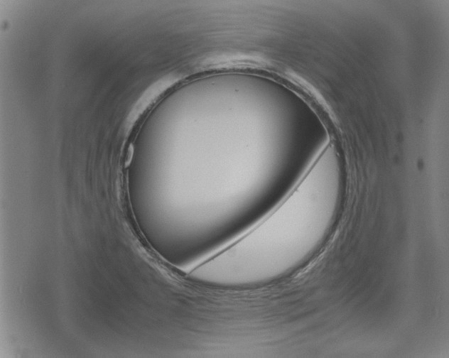 X0000074951277200609010911