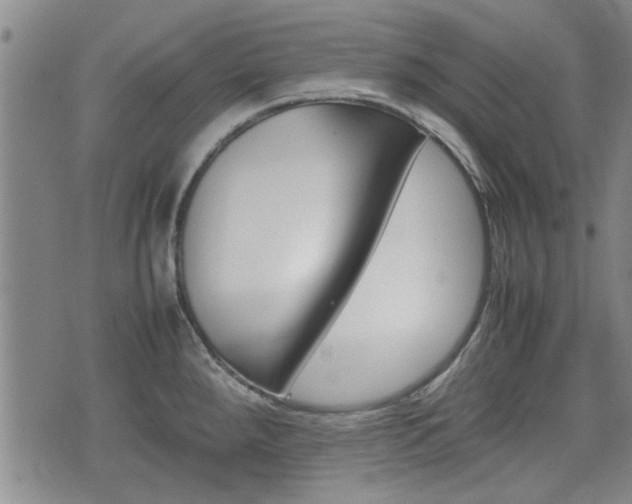 X0000074951288200609010911