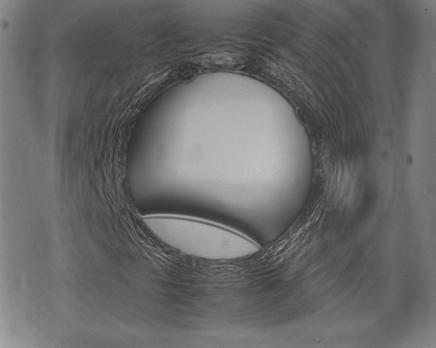 X0000074951297200609010910