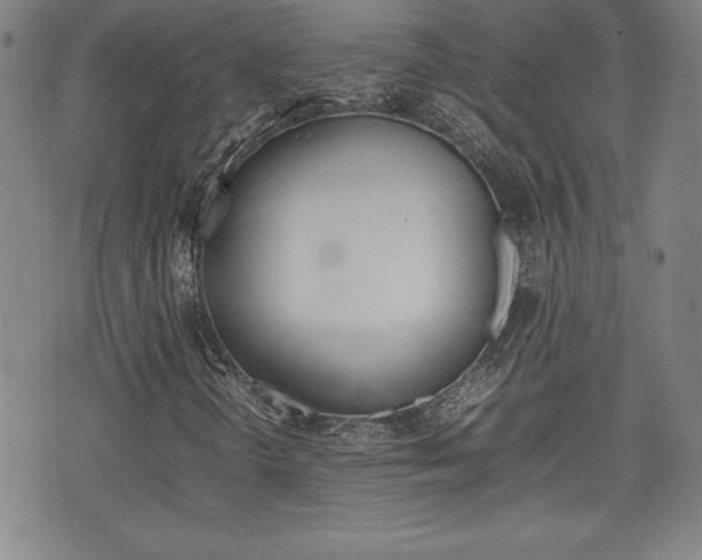 X0000074951298200609010910