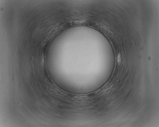 X0000074951299200609010910