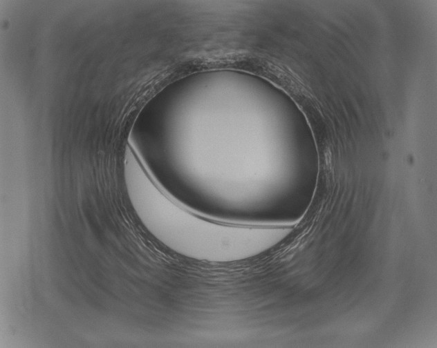 X0000074951300200609010910
