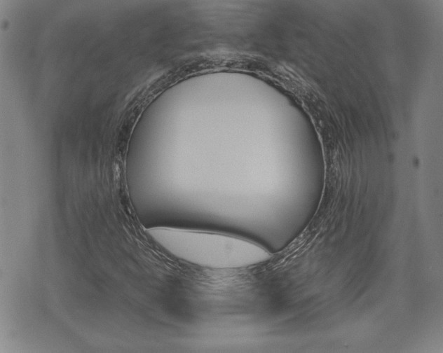 X0000074951302200609010910