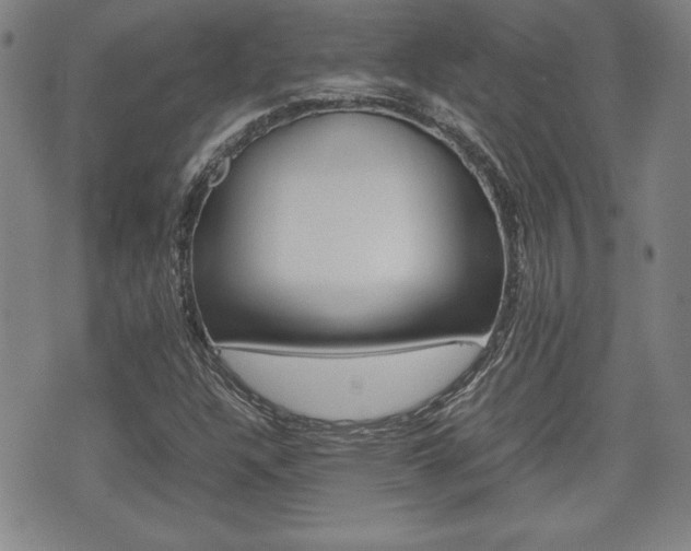 X0000074951304200609010910