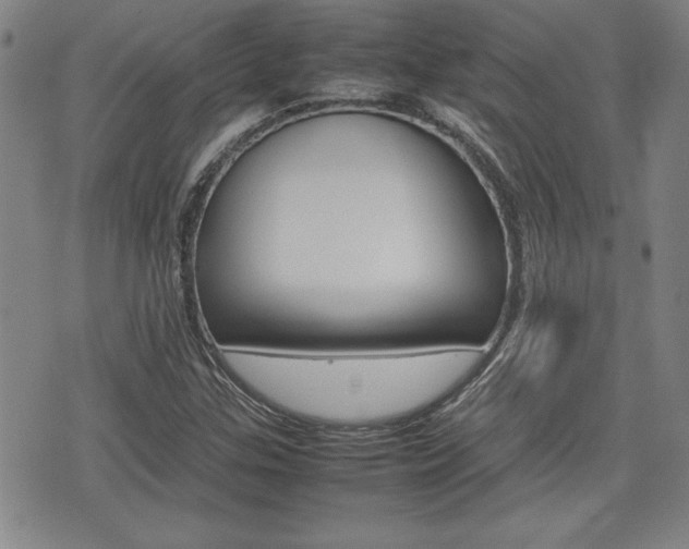 X0000074951307200609010910