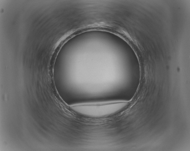 X0000074951308200609010910