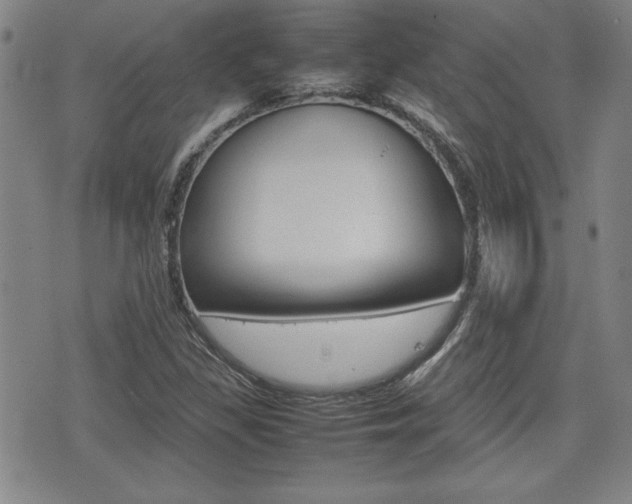 X0000074951309200609010910