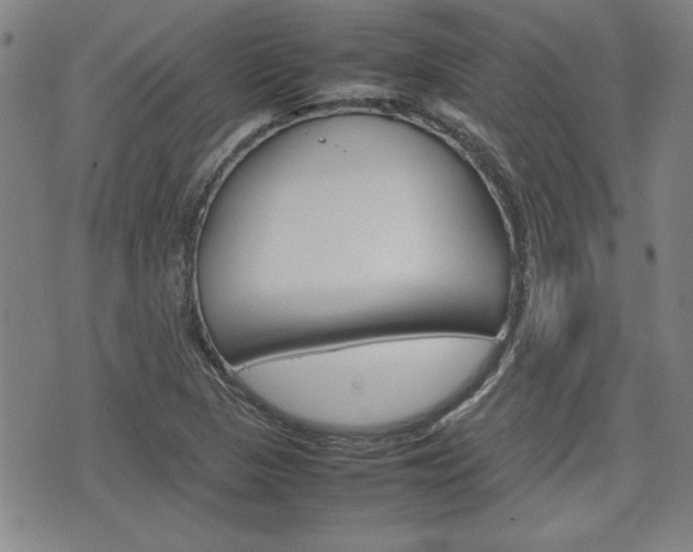 X0000074951313200609010910