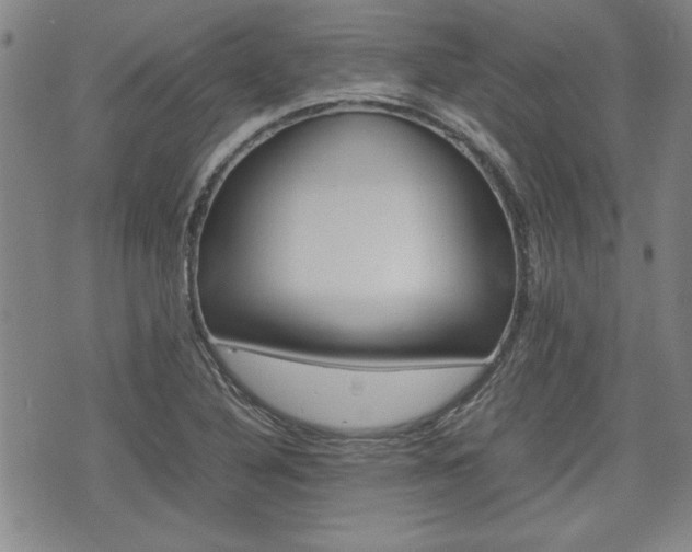 X0000074951316200609010910