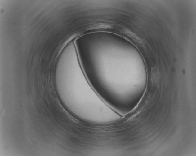 X0000074951321200609010910
