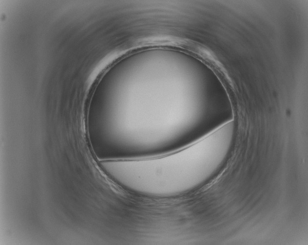 X0000074951328200609010910