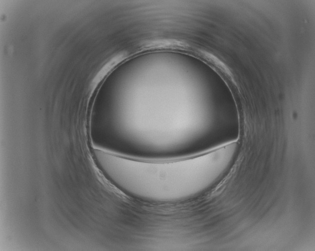 X0000074951330200609010910