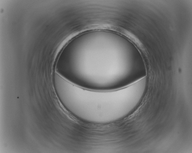 X0000074951332200609010910