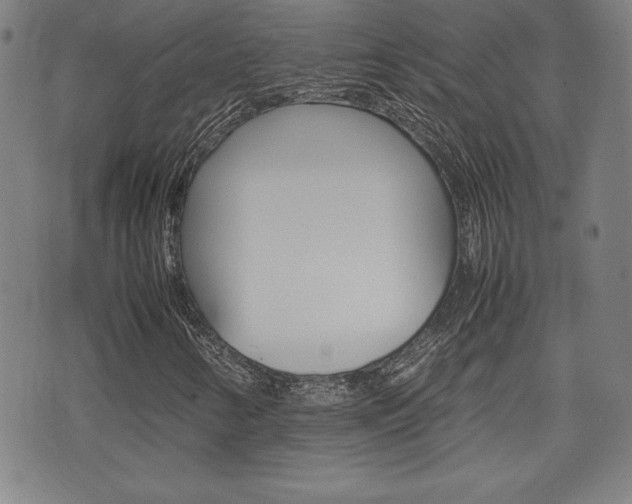 X0000074951346200609010910