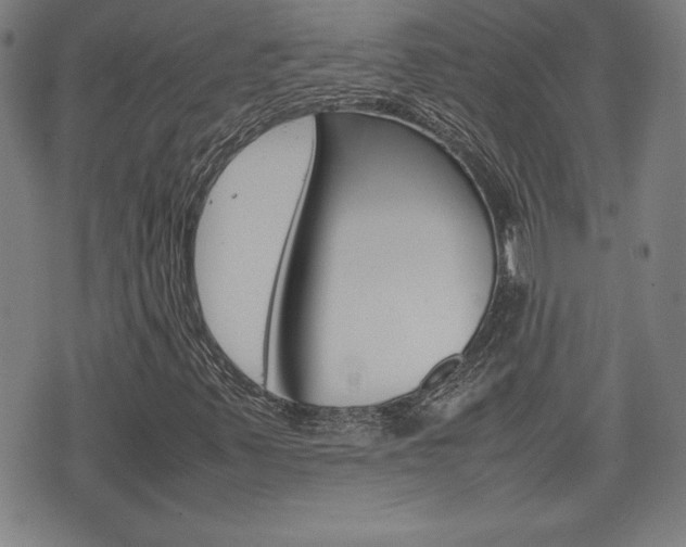 X0000074951347200609010910