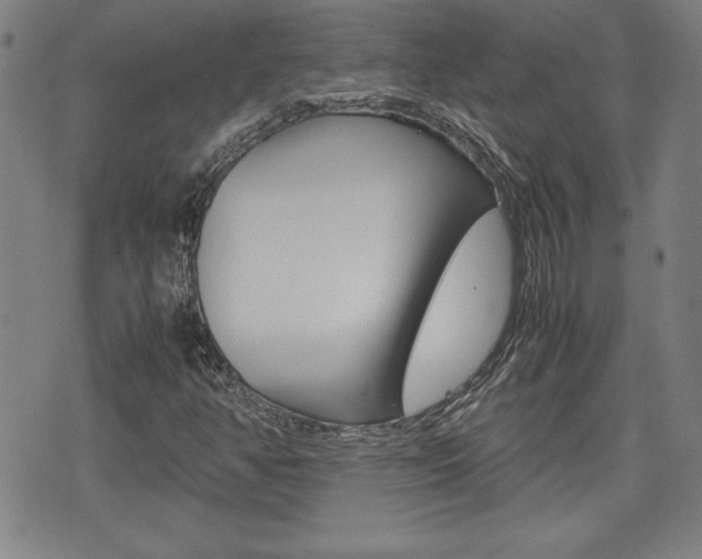 X0000074951350200609010910