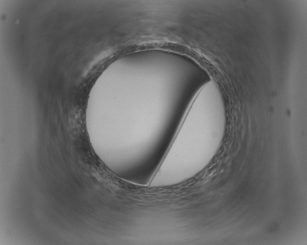 X0000074951351200609010910