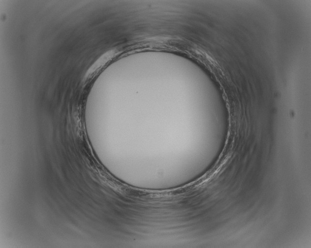 X0000074951354200609010910