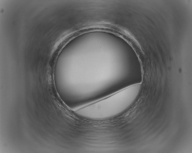 X0000074951360200609010910