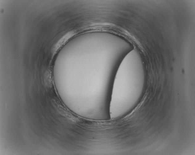 X0000074951362200609010909