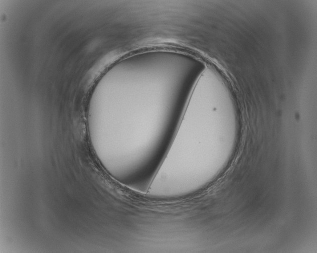 X0000074951363200609010909
