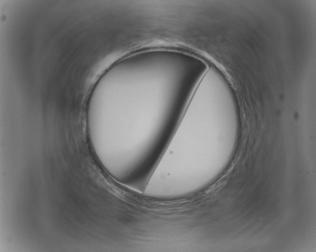 X0000074951367200609010909
