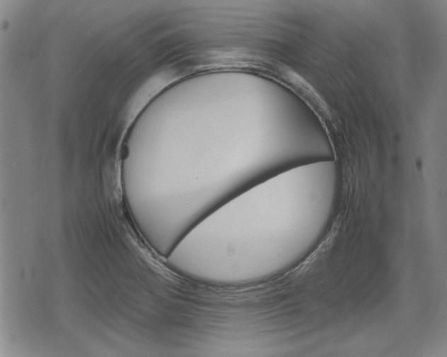 X0000074951370200609010909
