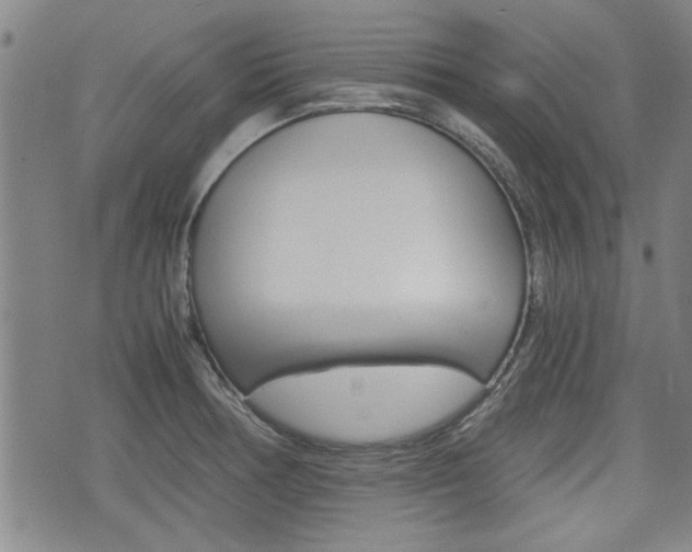 X0000074951378200609010909