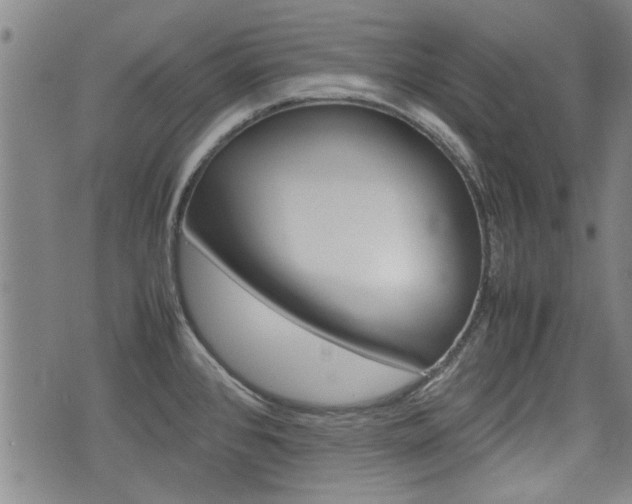 X0000074951384200609010909