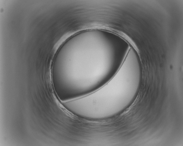 X0000074951388200609010909