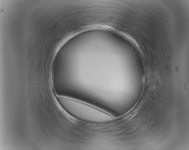 X0000074951391200609010909